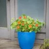 GSC Viva Round Self-Watering Rolling Planter, 17.25” Diameter