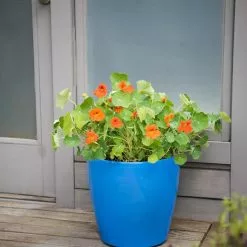 GSC Viva Round Self-Watering Rolling Planter, 17.25ā Diameter