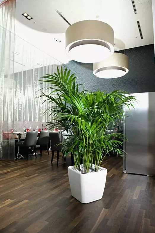 GSC Lechuza® Quadro LS Premium Self-Watering Square Planters 4 GSC Lechuza® Quadro LS Premium Self-Watering Square Planters - Image 2