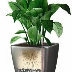 GSC Lechuza® Quadro LS Premium Self-Watering Square Planters 9 GSC Lechuza® Quadro LS Premium Self-Watering Square Planters -Plant Supports Shop 8594096 05V tif