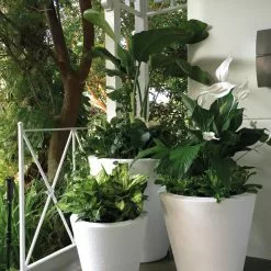 GSC Dot TruDrop Self-Watering Planters