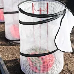 GSC Tomato TLC Kits, Set Of 3 -Plant Supports Shop 8594214 0186 tif