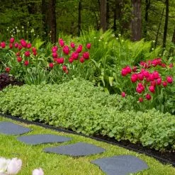 GSC Recycled Rubber Flagstone Stepping Stone -Plant Supports Shop 8594282 518 tif