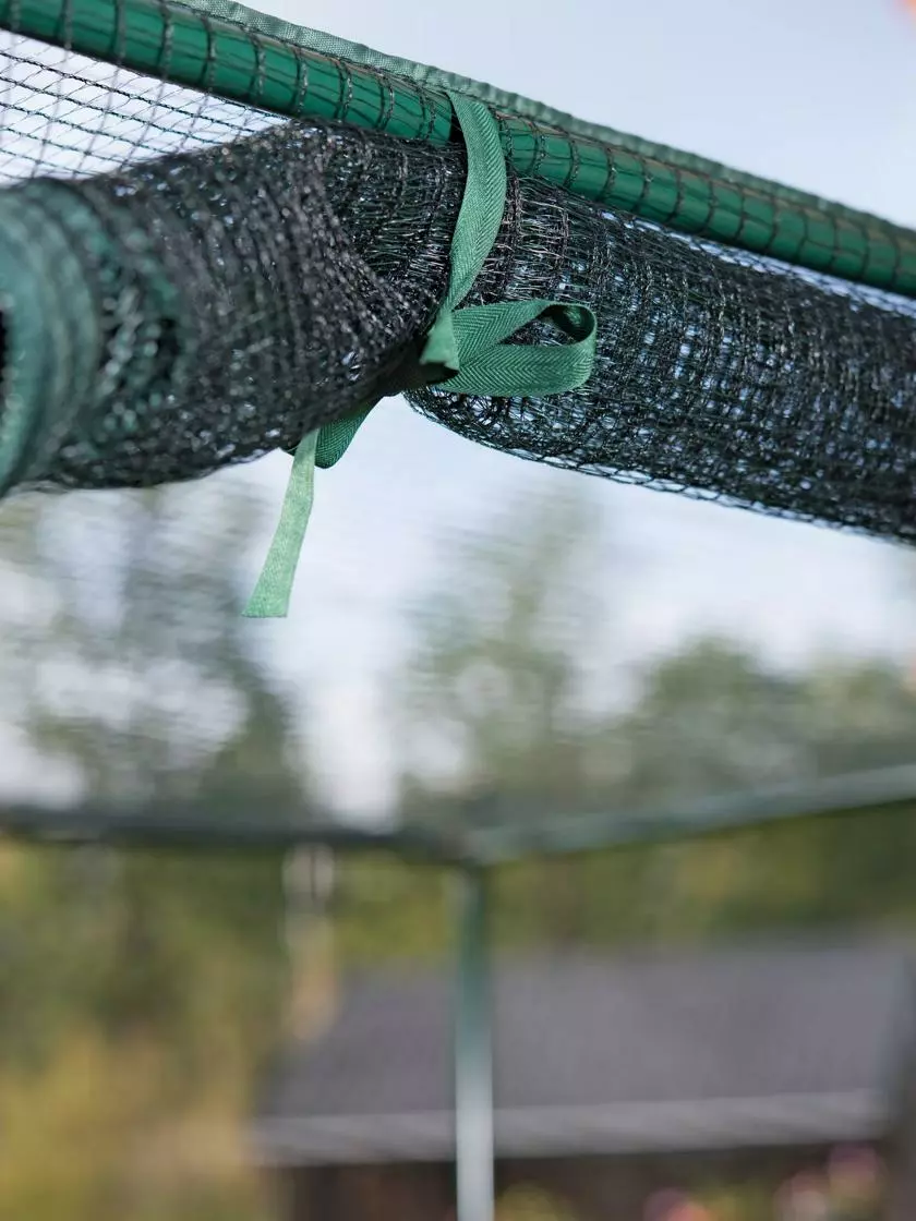 GSC Pest-Free Garden 6 GSC Pest-Free Garden - Image 4