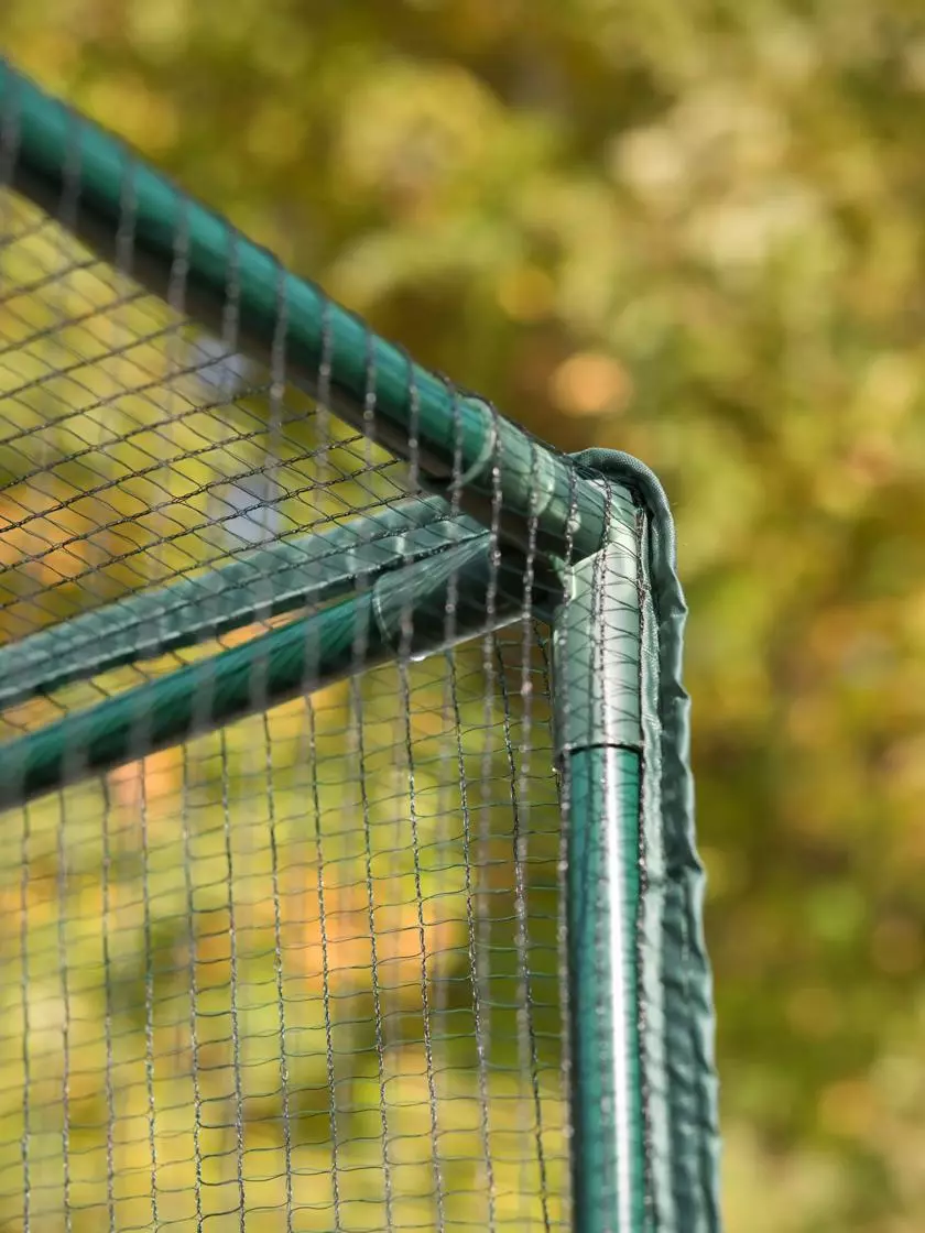 GSC Pest-Free Garden 4 GSC Pest-Free Garden - Image 2