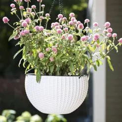 GSC Weave Self-Watering Hanging Basket, 10" 6 GSC Weave Self-Watering Hanging Basket, 10" -Plant Supports Shop 8594316 824 tif