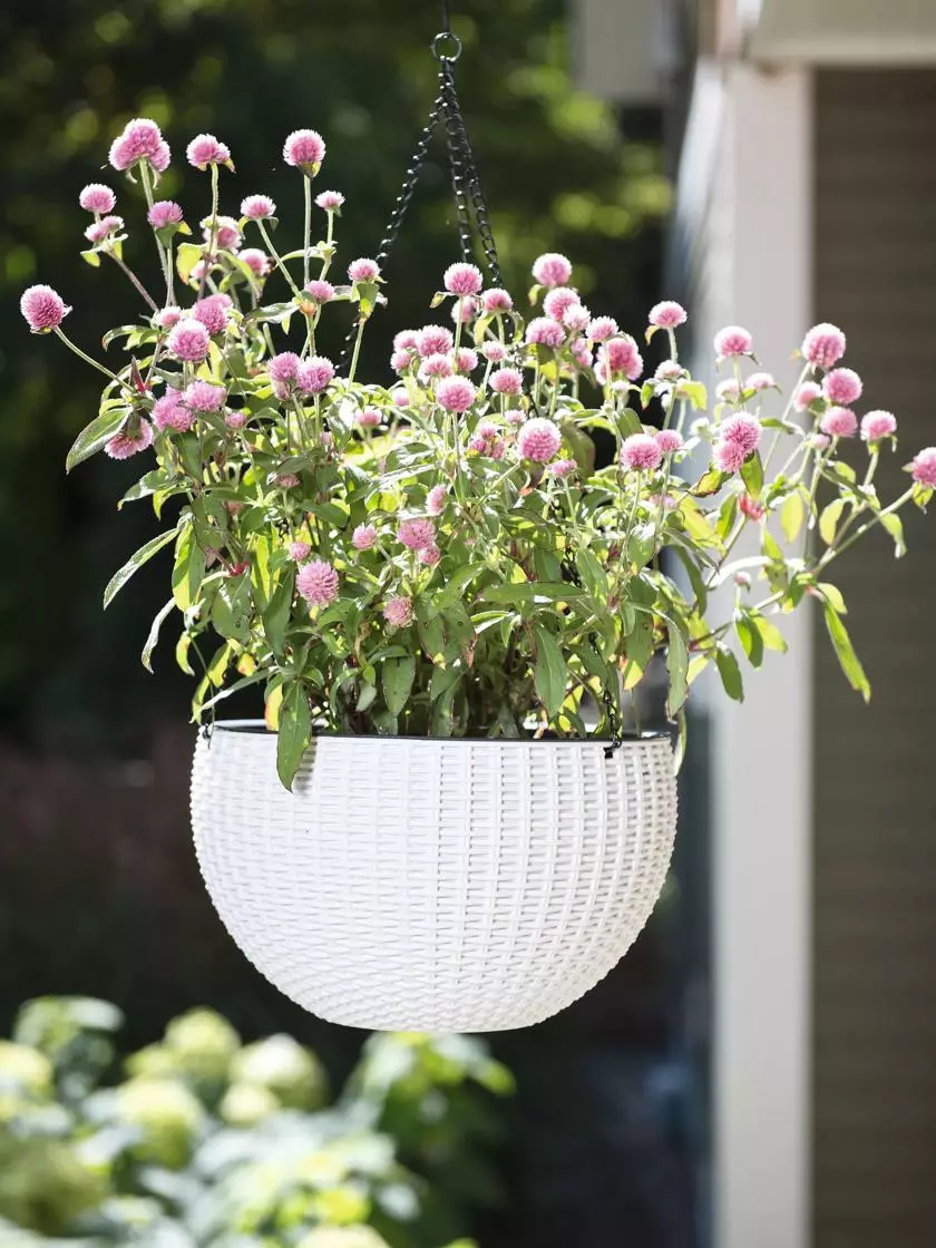GSC Weave Self-Watering Hanging Basket, 10" 4 GSC Weave Self-Watering Hanging Basket, 10" - Image 2
