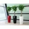 GSC Lechuza® Rondo Self-Watering Planters 2 GSC Lechuza® Rondo Self-Watering Planters -Plant Supports Shop 8594586 01V tif