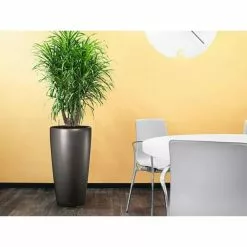 GSC Lechuza® Rondo Self-Watering Planters -Plant Supports Shop 8594586 02V tif