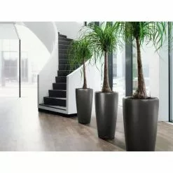 GSC Lechuza® Rondo Self-Watering Planters -Plant Supports Shop 8594586 03V tif