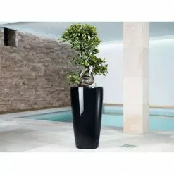 GSC Lechuza® Rondo Self-Watering Planters -Plant Supports Shop 8594586 04V tif