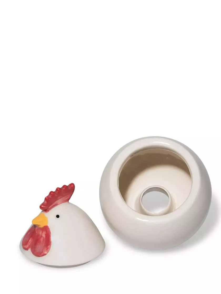 GSC Chicken Fruit Fly Traps 5 GSC Chicken Fruit Fly Traps - Image 3