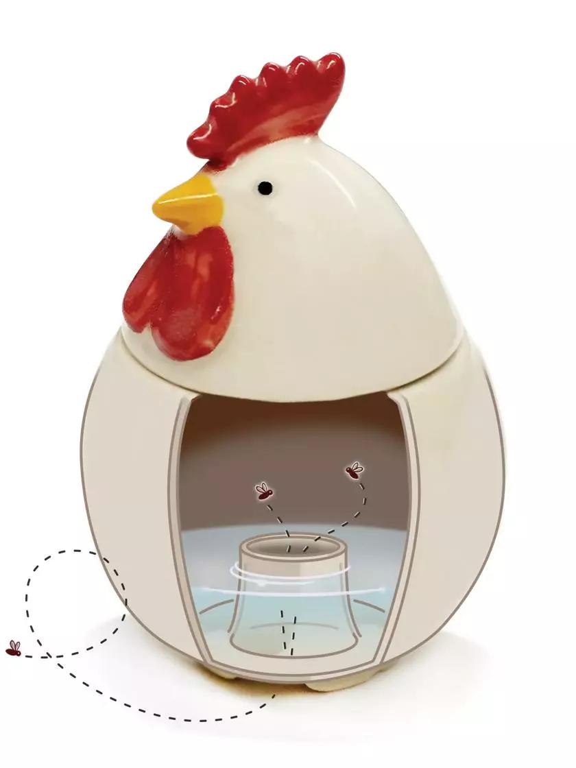 GSC Chicken Fruit Fly Traps 4 GSC Chicken Fruit Fly Traps - Image 2