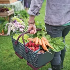 GSC Mod Hod -Plant Supports Shop 8595214 0061 tif