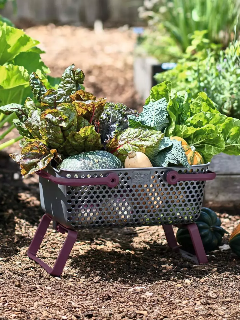 Plant Supports Shop 20 Plant Supports Shop -Plant Supports Shop 8595214 0062 tif