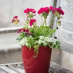 GSC Viva Round Self-Watering Planter, 7" Diameter -Plant Supports Shop 8595222 1137 tif