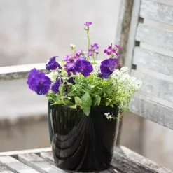 GSC Viva Round Self-Watering Planter, 7" Diameter -Plant Supports Shop 8595222 1140 tif