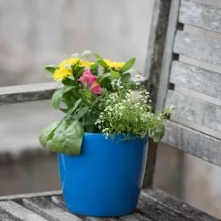 GSC Viva Round Self-Watering Planter, 7" Diameter -Plant Supports Shop 8595222 1143 tif