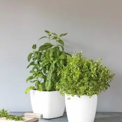 GSC Viva Square Self-Watering Planter, 7" Diameter