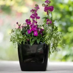 GSC Viva Square Self-Watering Planter, 7" Diameter -Plant Supports Shop 8595223 1107 tif