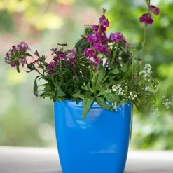 GSC Viva Square Self-Watering Planter, 7" Diameter -Plant Supports Shop 8595223 1113 tif