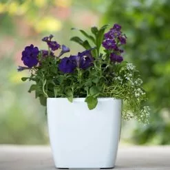 GSC Viva Square Self-Watering Planter, 7" Diameter -Plant Supports Shop 8595223 1118 tif