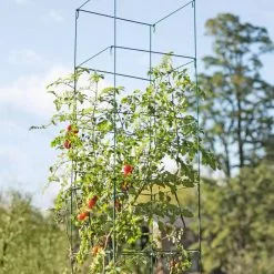 GSC Mammoth Tomato Towers, Set Of 2