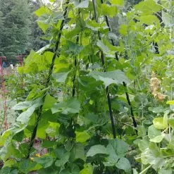 GSC Titan Teepee Trellis -Plant Supports Shop 8595757 01EMP tif