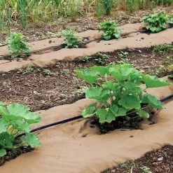 GSC Weedguard Plus Paper Mulch, 50'