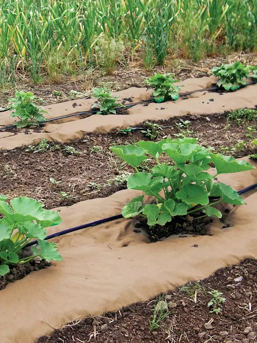 GSC Weedguard Plus Paper Mulch, 50' 3 GSC Weedguard Plus Paper Mulch, 50'