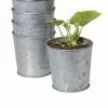 GSC Galvanized Planting Cups, Set Of 5