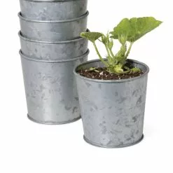 GSC Galvanized Planting Cups, Set Of 5