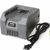 GSC 58V Battery Charger