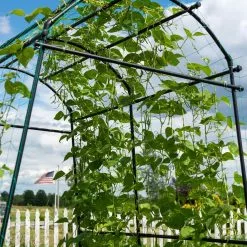 GSC Titan Squash Tunnel 19 GSC Titan Squash Tunnel -Plant Supports Shop 8596276 0122 tif