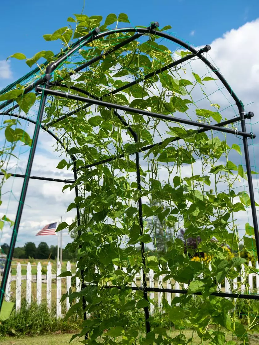GSC Titan Squash Tunnel 11 GSC Titan Squash Tunnel - Image 9
