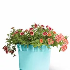 GSC Eezy Gro Self-Watering Planters 14 GSC Eezy Gro Self-Watering Planters -Plant Supports Shop 8596426 103 tif