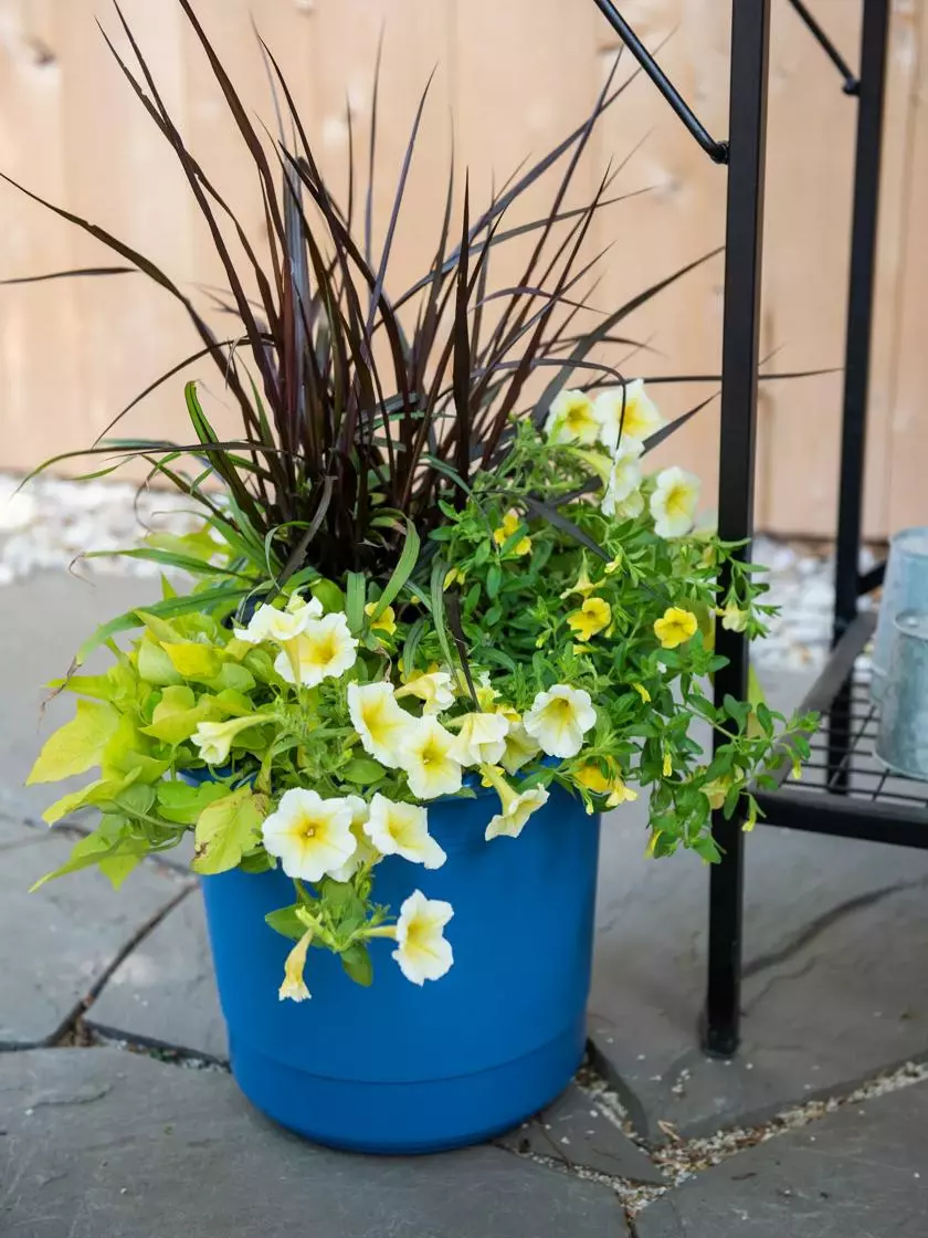 GSC Eezy Gro Self-Watering Planters 4 GSC Eezy Gro Self-Watering Planters - Image 2