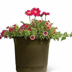GSC Eezy Gro Self-Watering Planters 12 GSC Eezy Gro Self-Watering Planters -Plant Supports Shop 8596427 108 tif