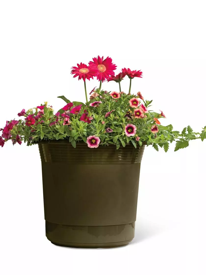 GSC Eezy Gro Self-Watering Planters 6 GSC Eezy Gro Self-Watering Planters - Image 4