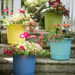 GSC Eezy Gro Self-Watering Planters 13 GSC Eezy Gro Self-Watering Planters -Plant Supports Shop 8596427 8090 tif