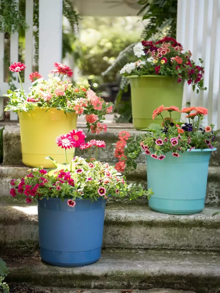 GSC Eezy Gro Self-Watering Planters 7 GSC Eezy Gro Self-Watering Planters - Image 5