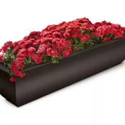 GSC Valencia Window Box, 4'