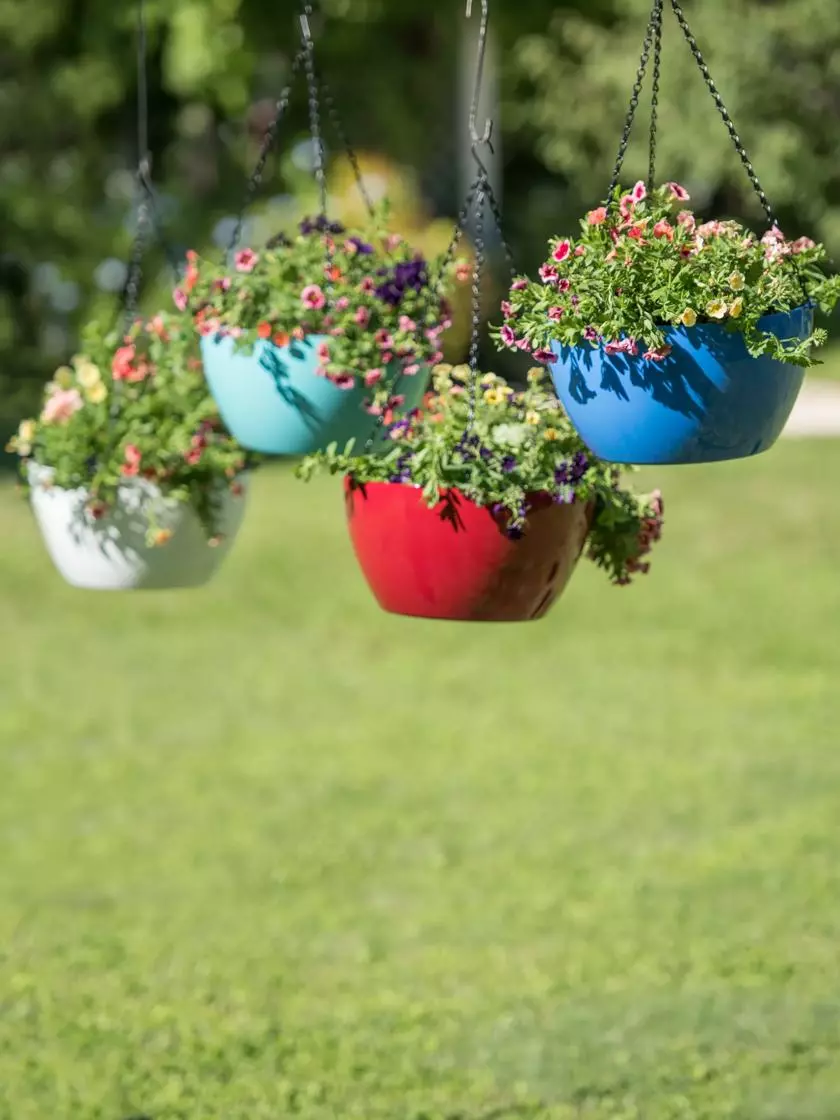 GSC Viva Self-Watering Hanging Basket, 14" Diameter 3 GSC Viva Self-Watering Hanging Basket, 14" Diameter