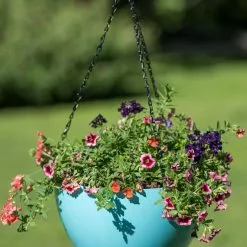 GSC Viva Self-Watering Hanging Basket, 14" Diameter 10 GSC Viva Self-Watering Hanging Basket, 14" Diameter -Plant Supports Shop 8596442 0859 tif