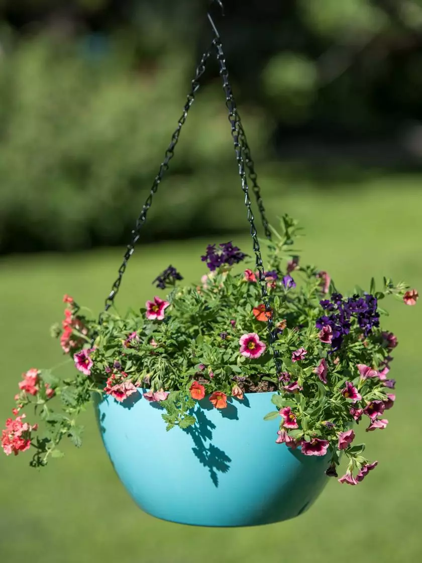 GSC Viva Self-Watering Hanging Basket, 14" Diameter 6 GSC Viva Self-Watering Hanging Basket, 14" Diameter - Image 4