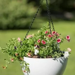 GSC Viva Self-Watering Hanging Basket, 14" Diameter 9 GSC Viva Self-Watering Hanging Basket, 14" Diameter -Plant Supports Shop 8596442 0864 tif