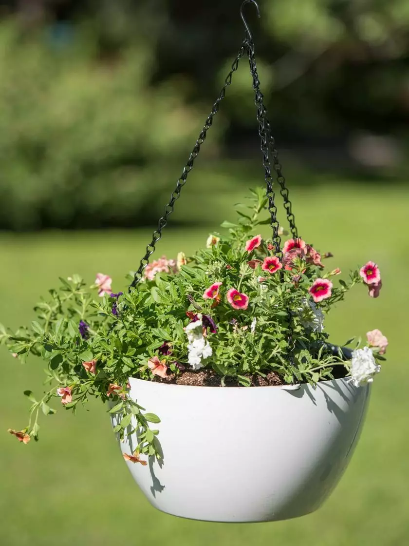 GSC Viva Self-Watering Hanging Basket, 14" Diameter 5 GSC Viva Self-Watering Hanging Basket, 14" Diameter - Image 3