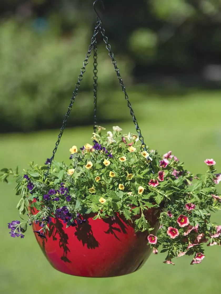 GSC Viva Self-Watering Hanging Basket, 14" Diameter 4 GSC Viva Self-Watering Hanging Basket, 14" Diameter - Image 2