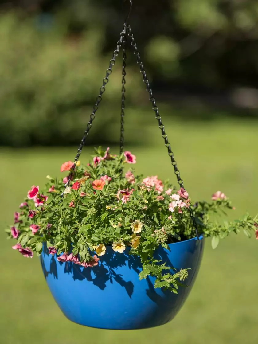 GSC Viva Self-Watering Hanging Basket, 14" Diameter 7 GSC Viva Self-Watering Hanging Basket, 14" Diameter - Image 5