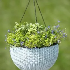 GSC Weave Self-Watering Hanging Basket, 14" -Plant Supports Shop 8596490 10307 tif